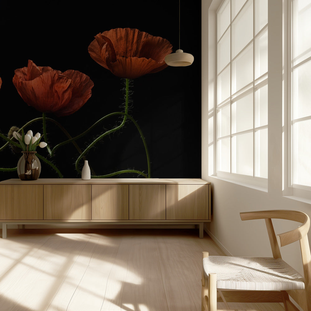 Alrededor de la medianoche #2 | Papel Pintado Fotográfico