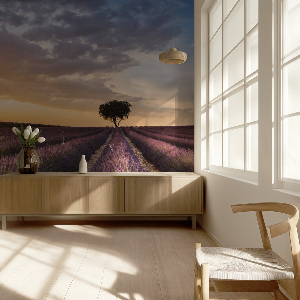 DESTINO LAVANDA | Papel Pintado Fotográfico