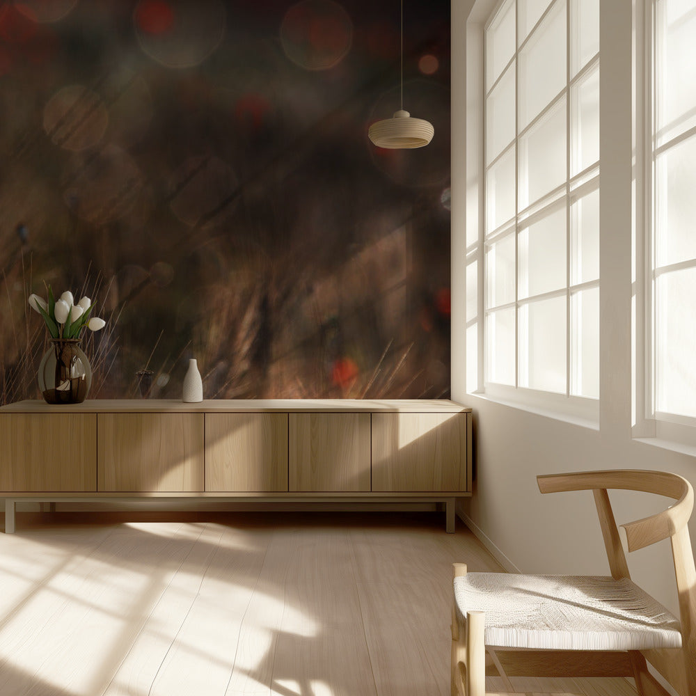 Amapola Papel Pintado Fotográfico