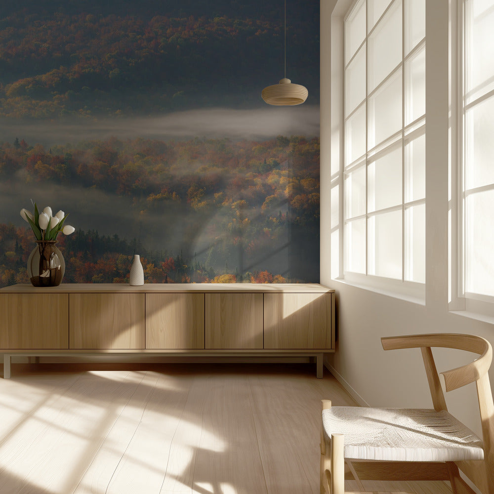 Mattina nebbiosa | Carta da Parati Fotografica