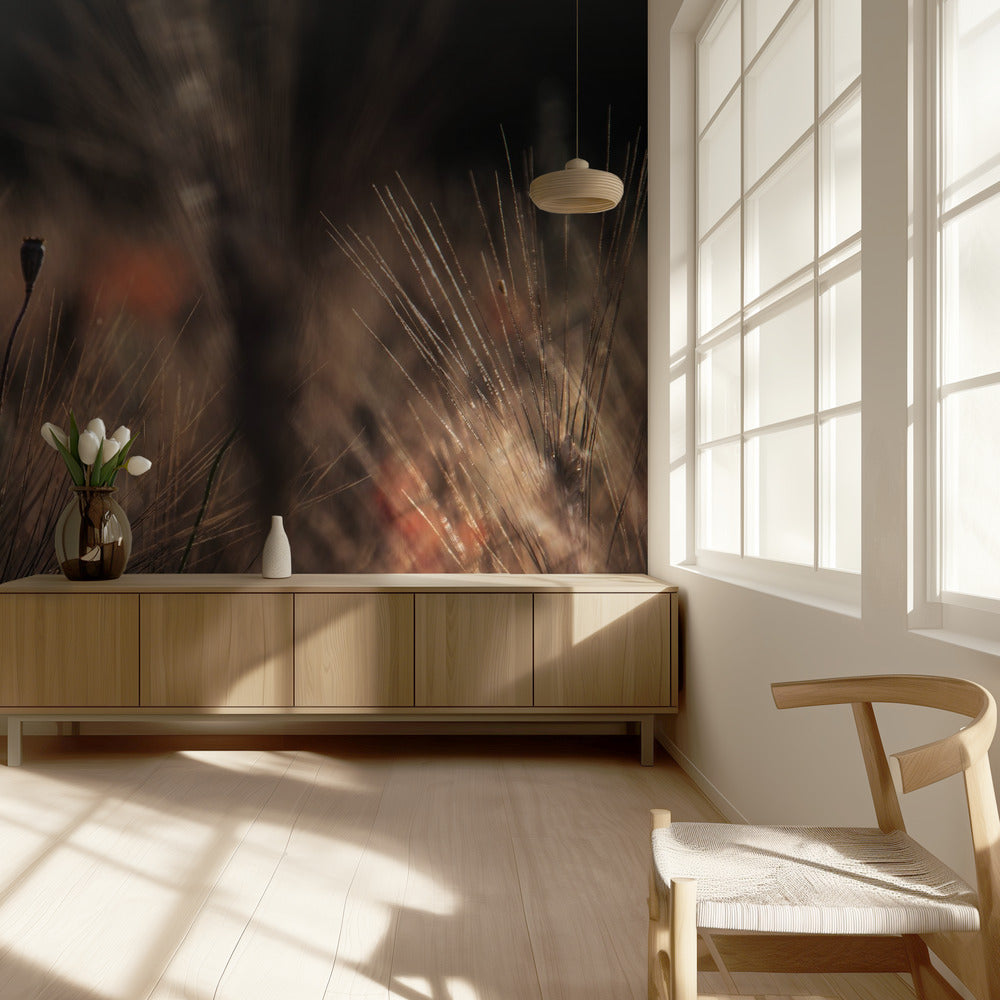 Amapola con maíz | Papel Pintado Fotográfico