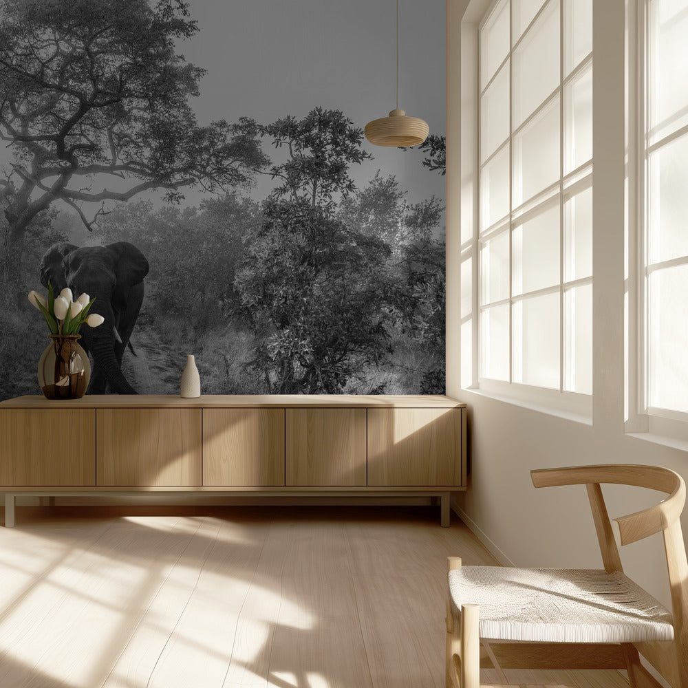 KÄVELEVÄ JÄTTILÄINEN | Valokuvatapetit