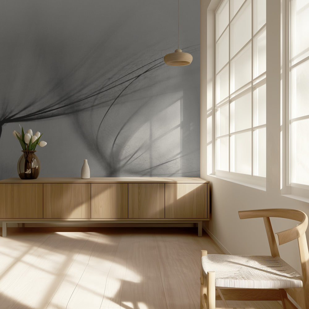 Tragopogon | Papel Pintado Fotográfico