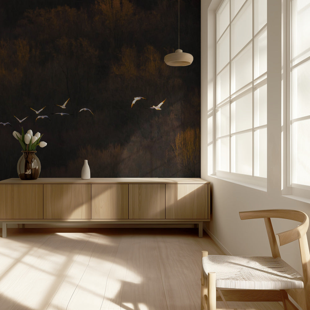 Estado de ánimo matutino | Papel Pintado Fotográfico