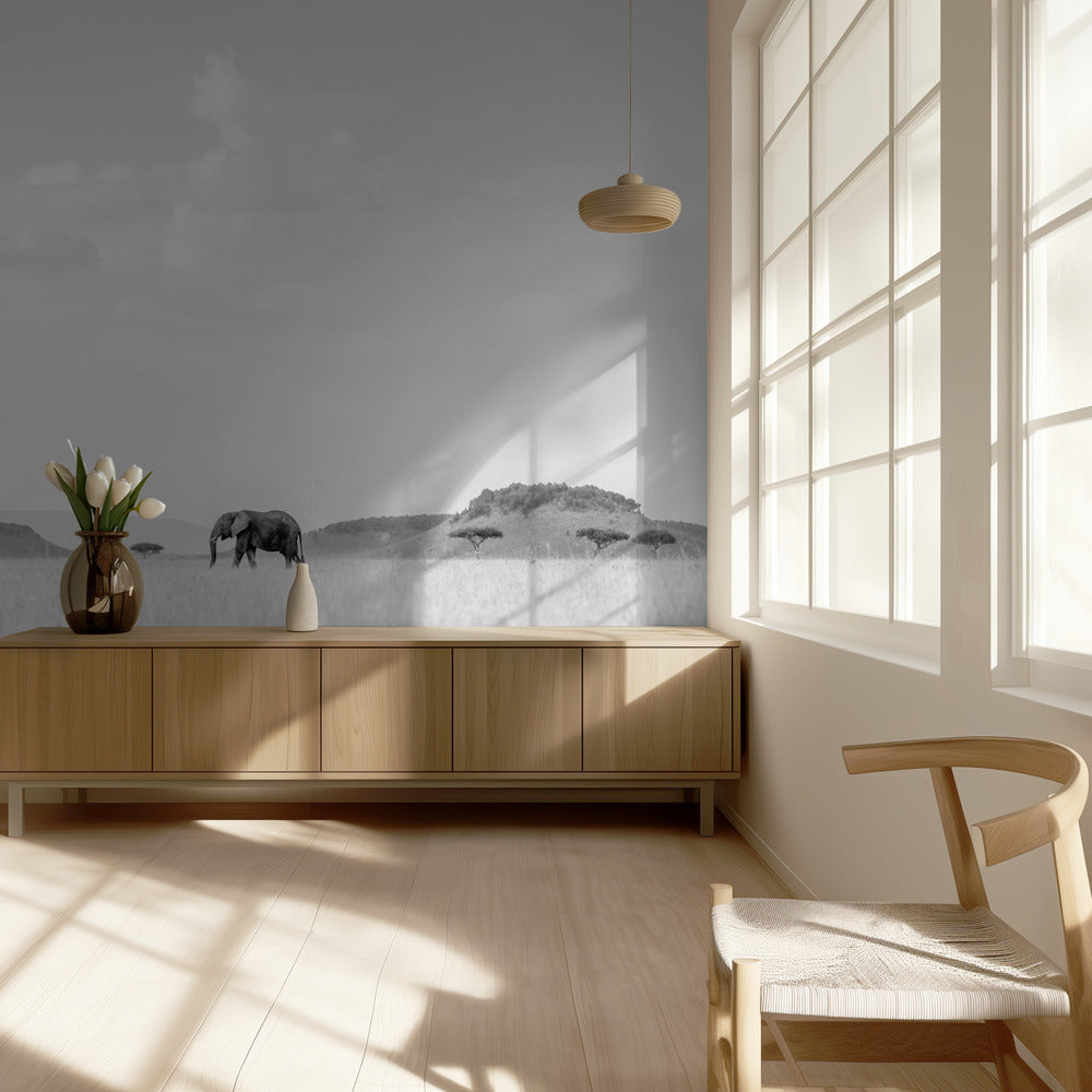 KORKEA SAVANNAH | Valokuvatapetit