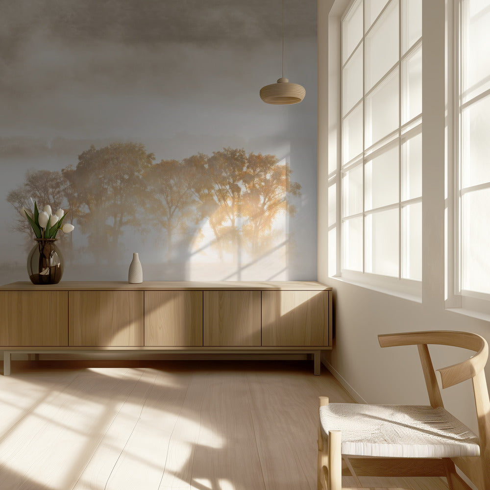 Syksyn unelmat | Valokuvatapetit