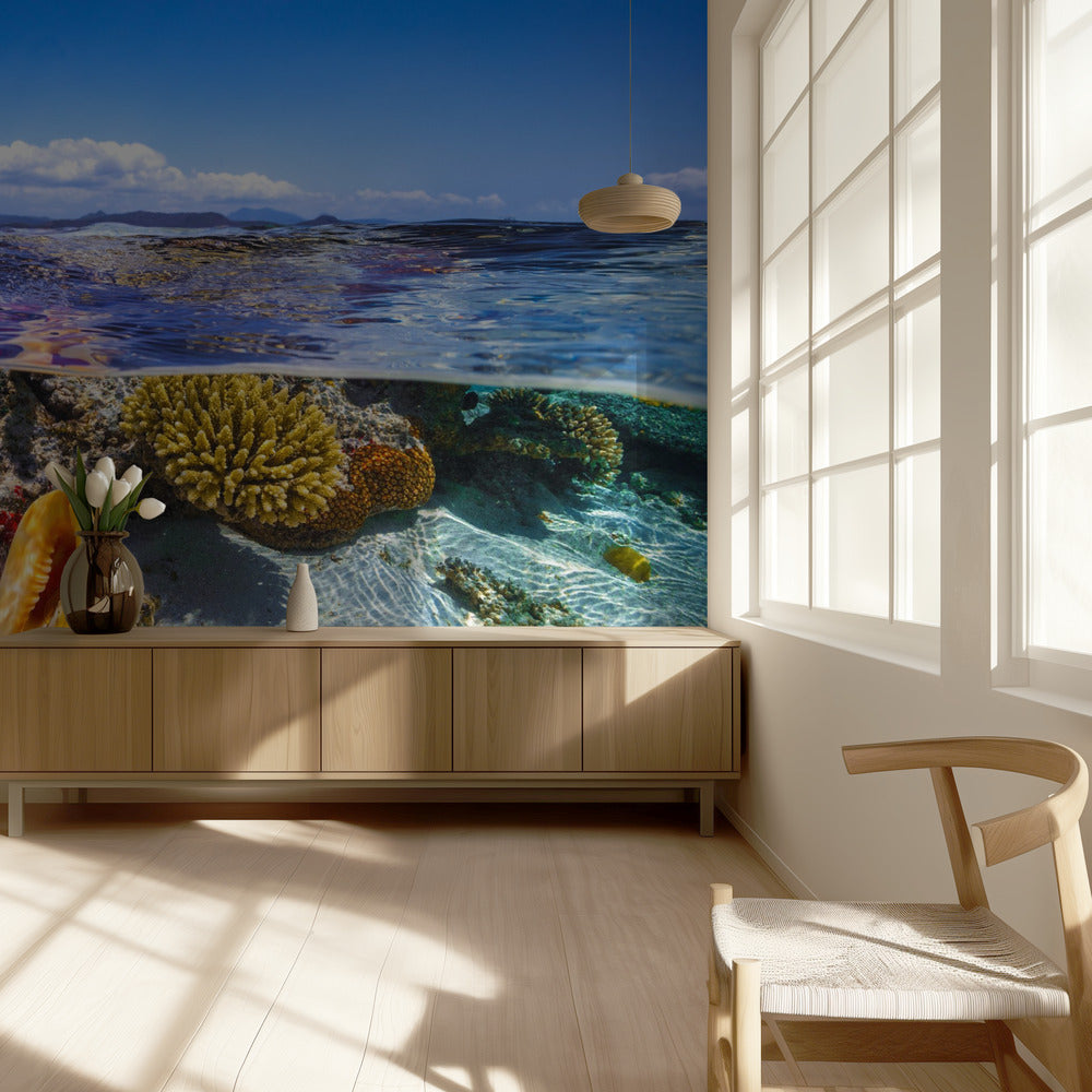 Życie w lagunie | Fototapeta