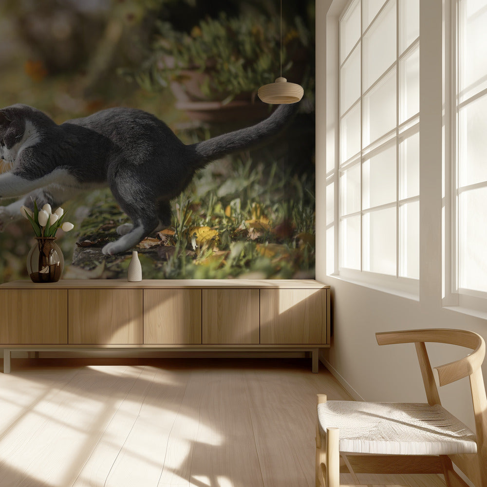 Syysleikki | Valokuvatapetit