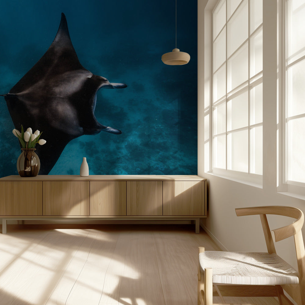 Mantakärpänen!!! | Valokuvatapetit