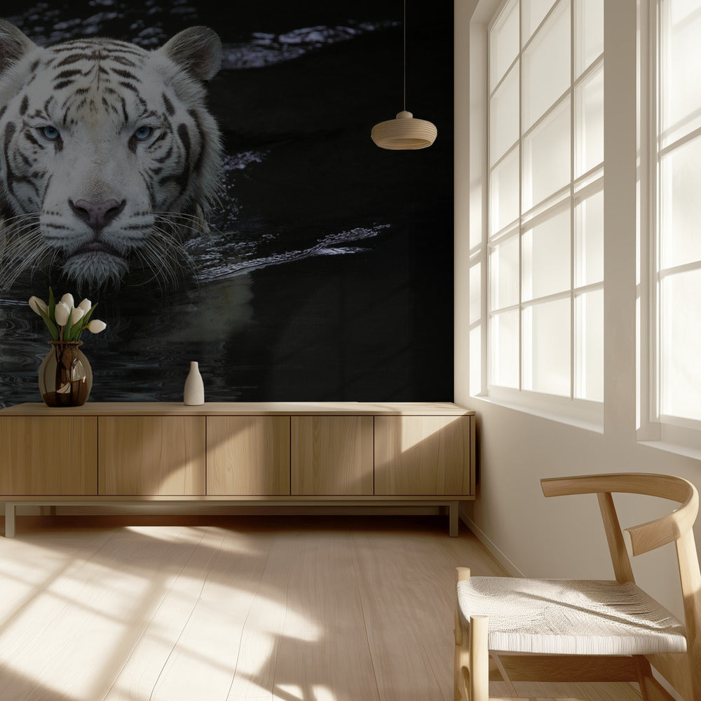 Katson minua Katson sinua | Valokuvatapetit