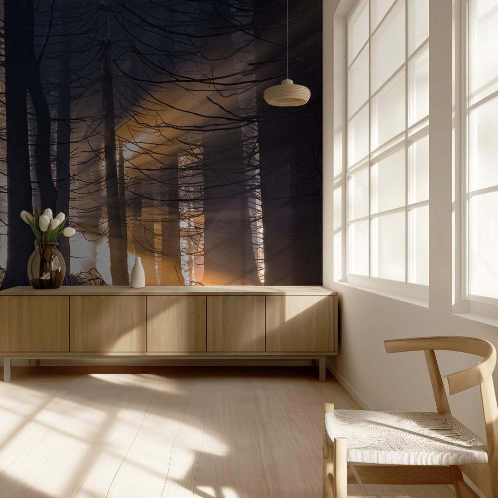 Metsä | Valokuvatapetit