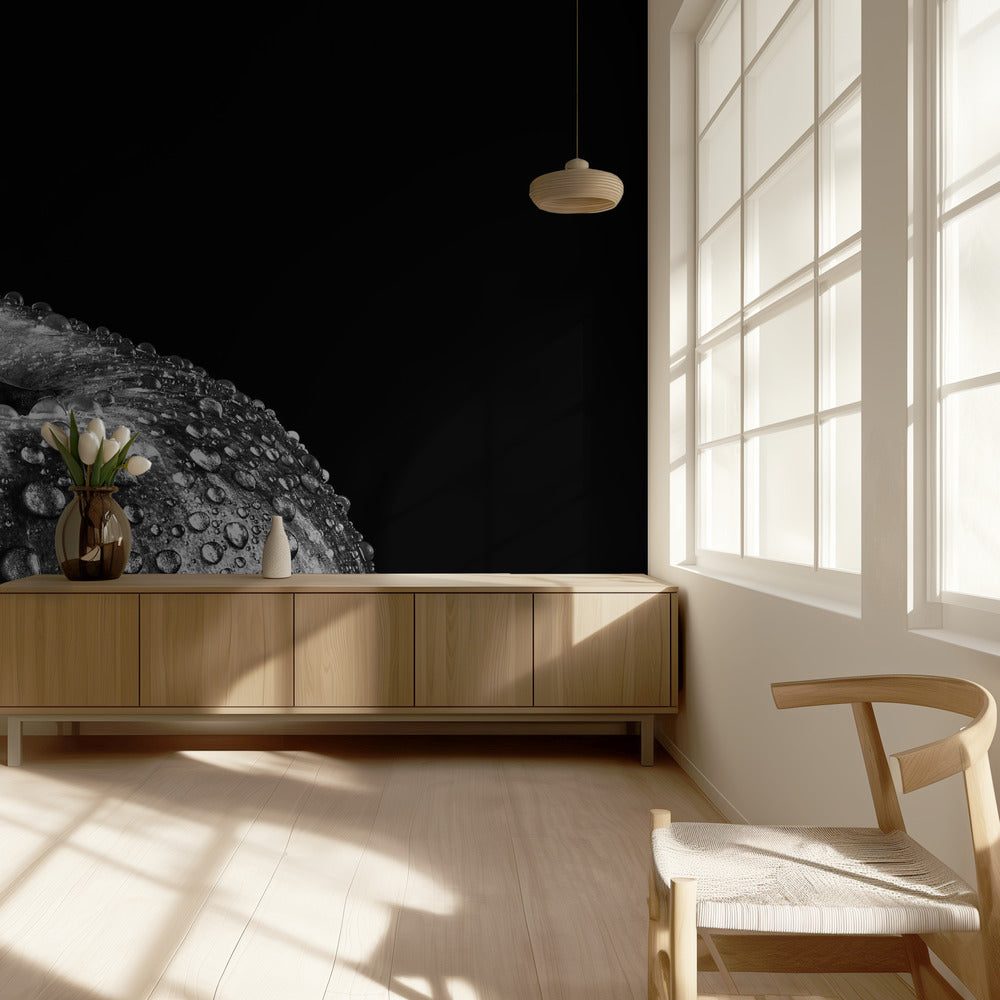 puhelu | Valokuvatapetit