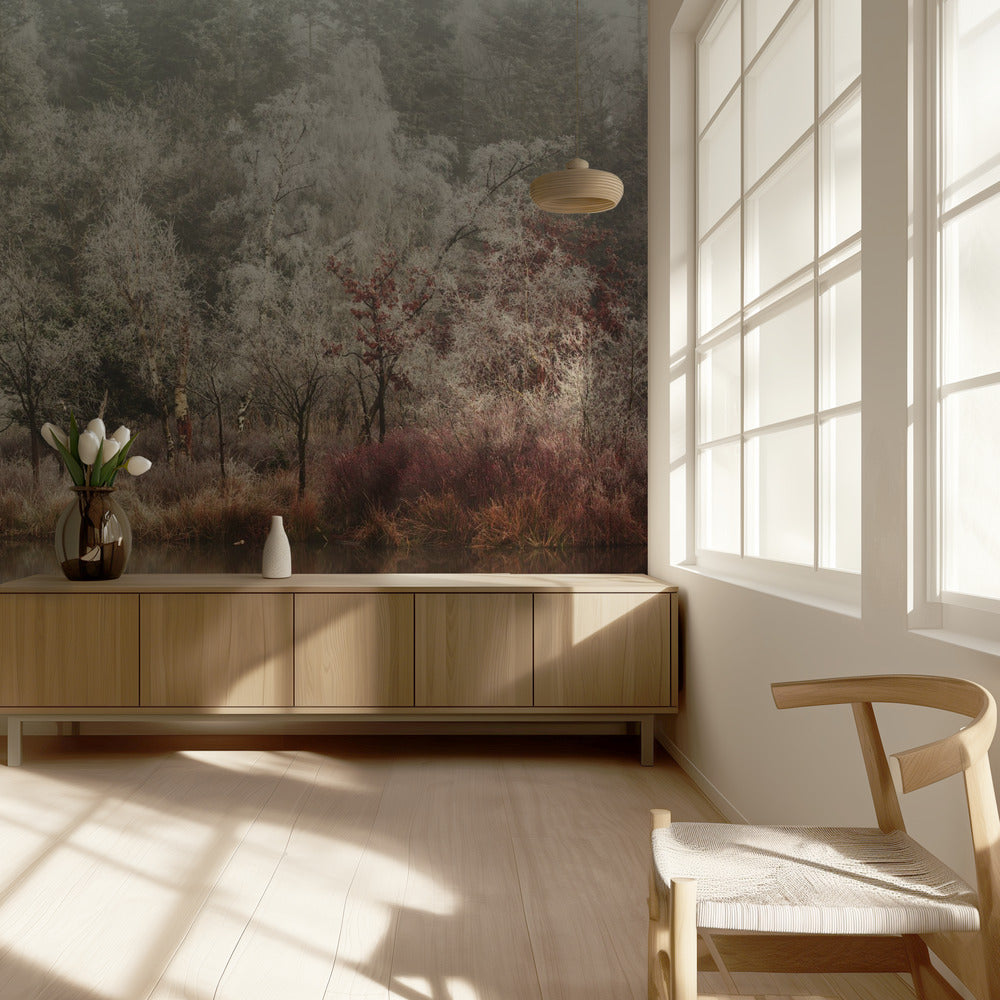 Mrożone | Fototapeta