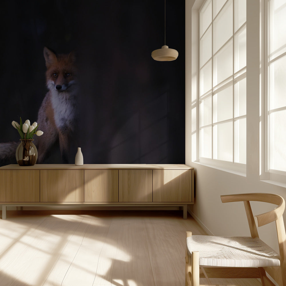 Miradas | Papel Pintado Fotográfico