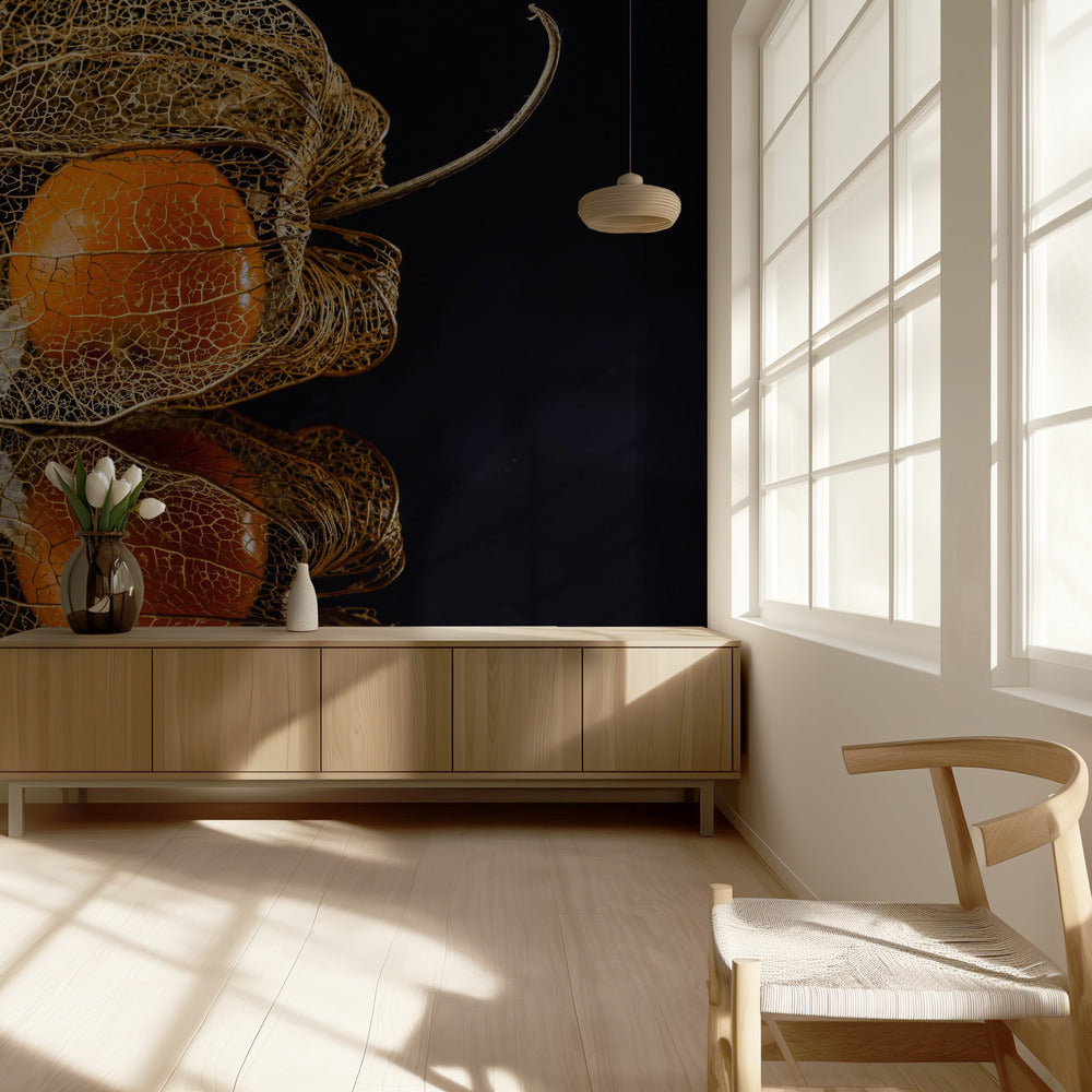 Physalis | Papel Pintado Fotográfico