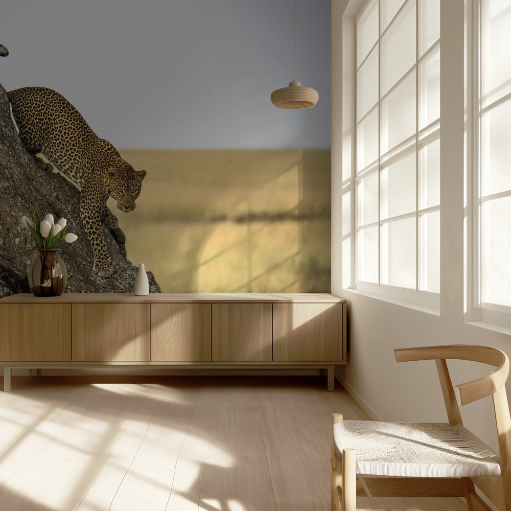 Leopardi - Serengheti, Tansania | Valokuvatapetit