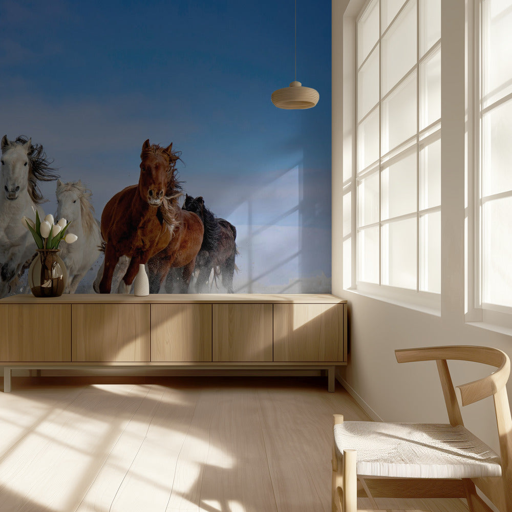 Mongolian hevoset | Valokuvatapetit