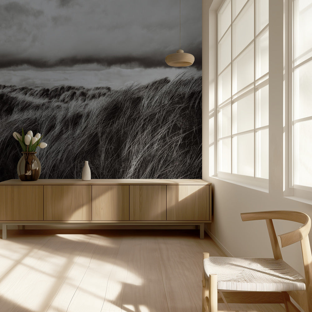 Græsklitter | Fototapeter