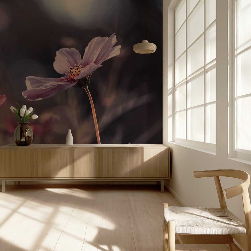 Flores de la inocencia | Papel Pintado Fotográfico