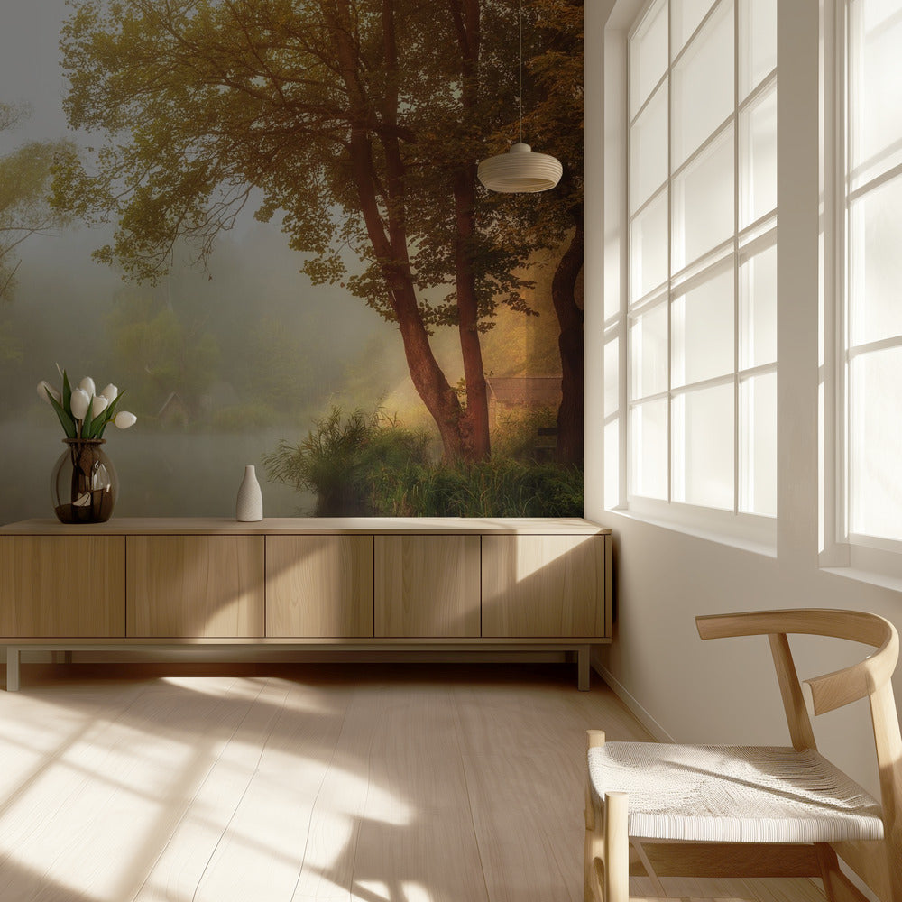 Nebliger Herbst | Fototapeten