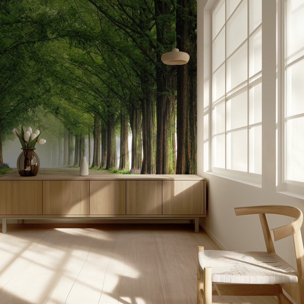 Droga Metasequoia | Fototapeta