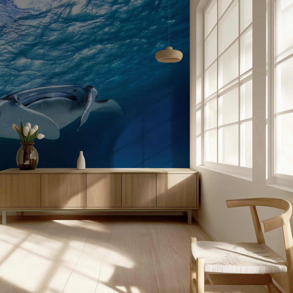 Peitot | Valokuvatapetit