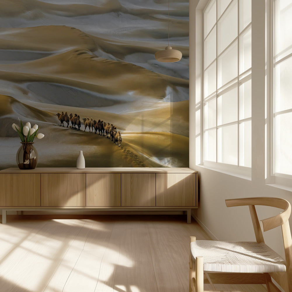 Inverno nel deserto | Carta da Parati Fotografica