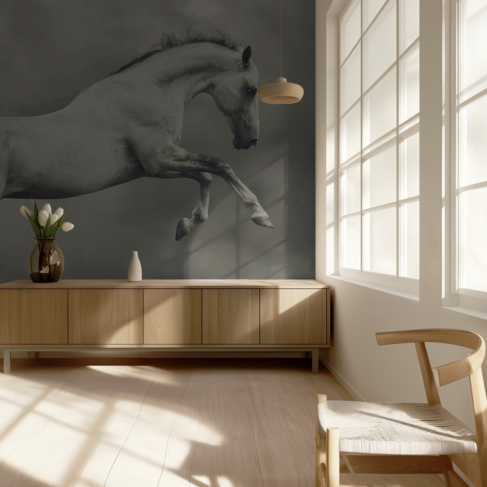 parikaalinen | Valokuvatapetit