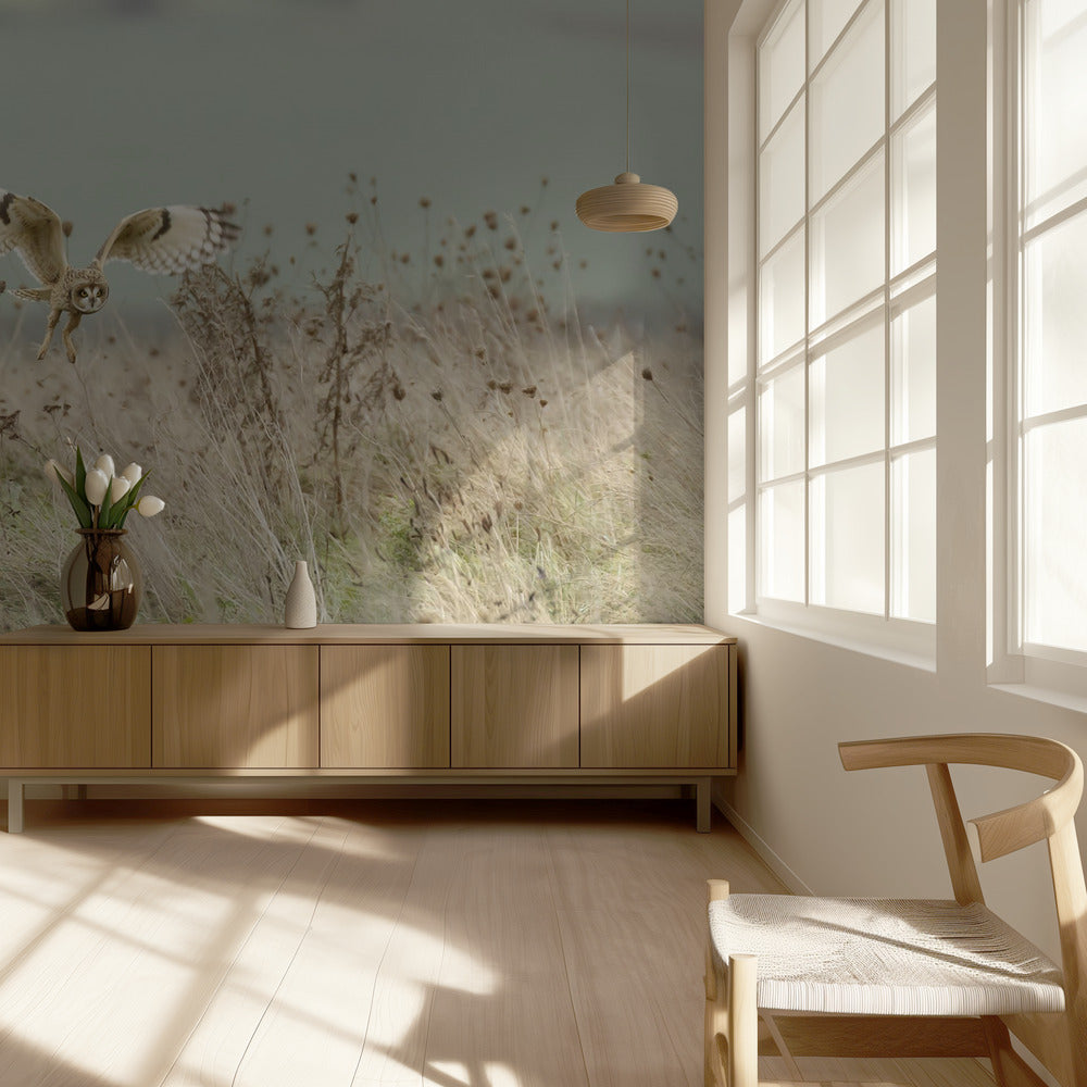 Caza del búho campestre | Papel Pintado Fotográfico