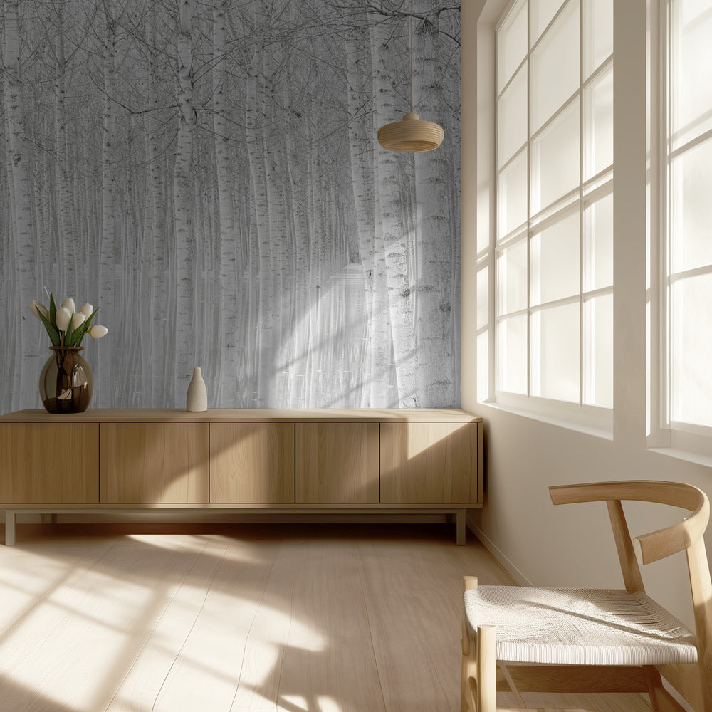 Bäume | Fototapeten