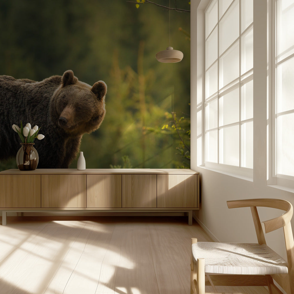 Oso retroiluminado | Papel Pintado Fotográfico