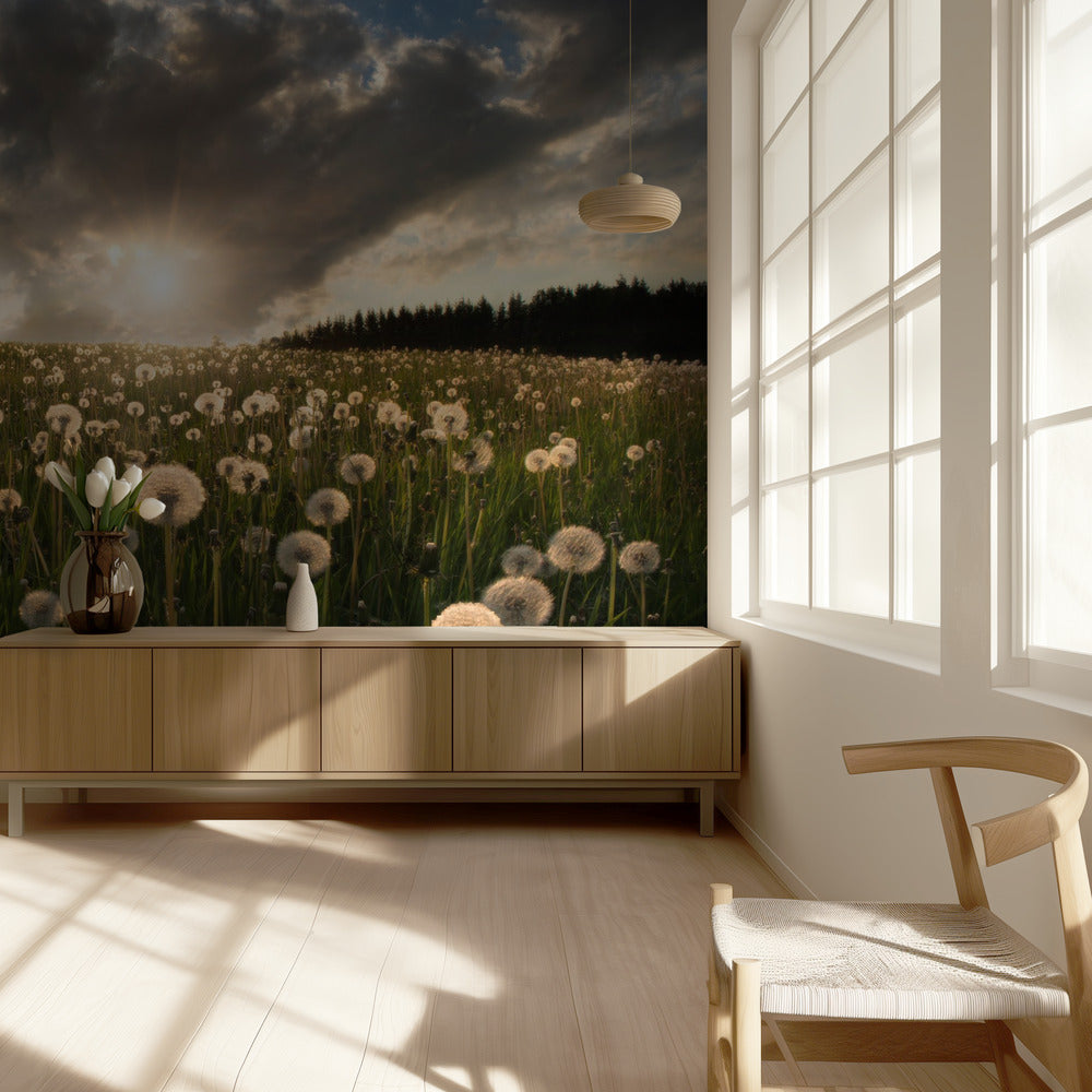 Hehkulamput | Valokuvatapetit