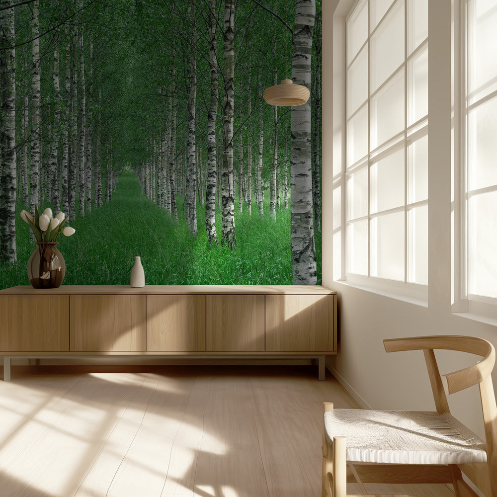 Tunneli | Valokuvatapetit