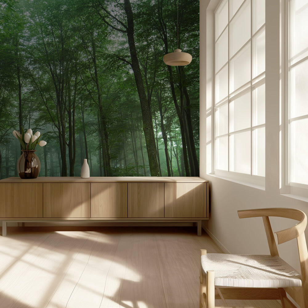 Vista del bosque | Papel Pintado Fotográfico