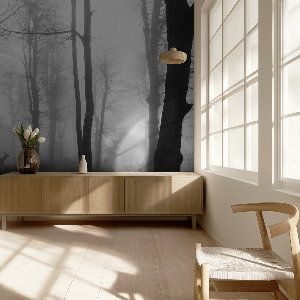 bosque | Papel Pintado Fotográfico