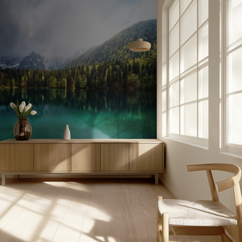 Minttu. | Valokuvatapetit