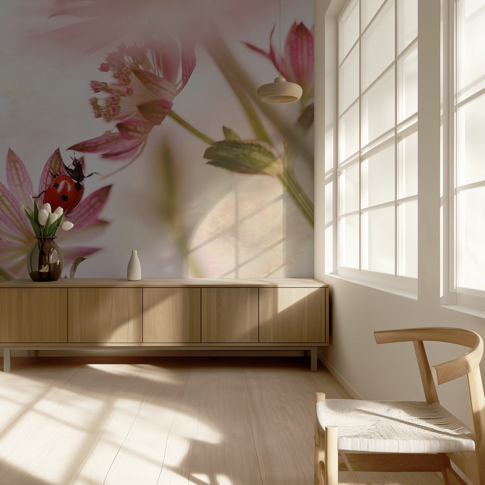 Coccinella e fiori rosa | Carta da Parati Fotografica