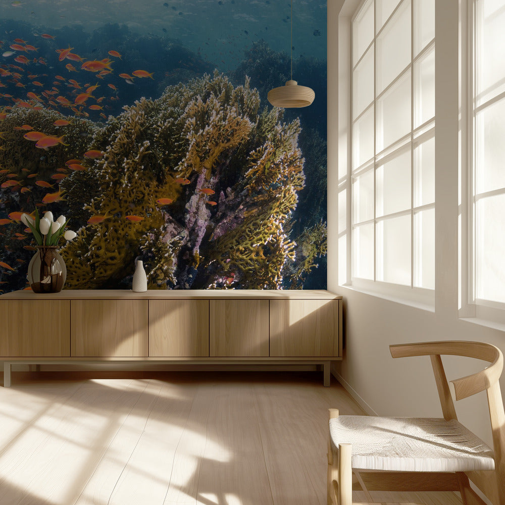 Revlandskap | Fototapet