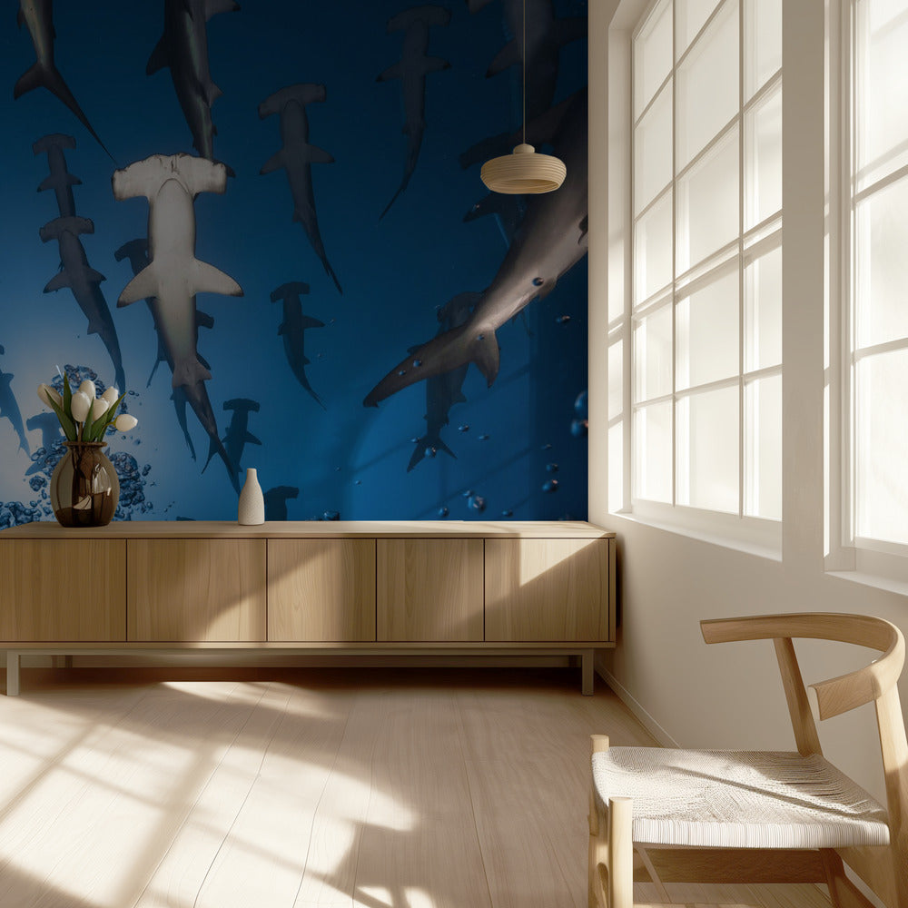 Tiburón martillo | Papel Pintado Fotográfico