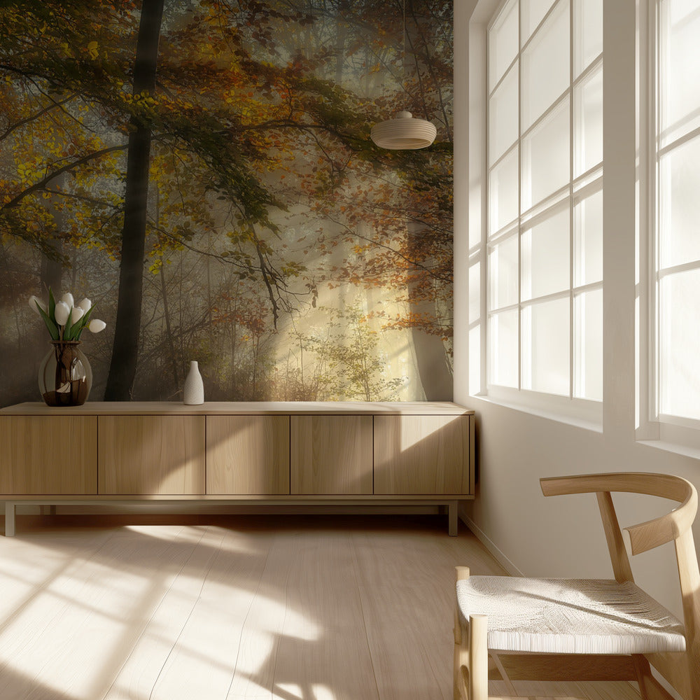 Las luces del bosque | Papel Pintado Fotográfico