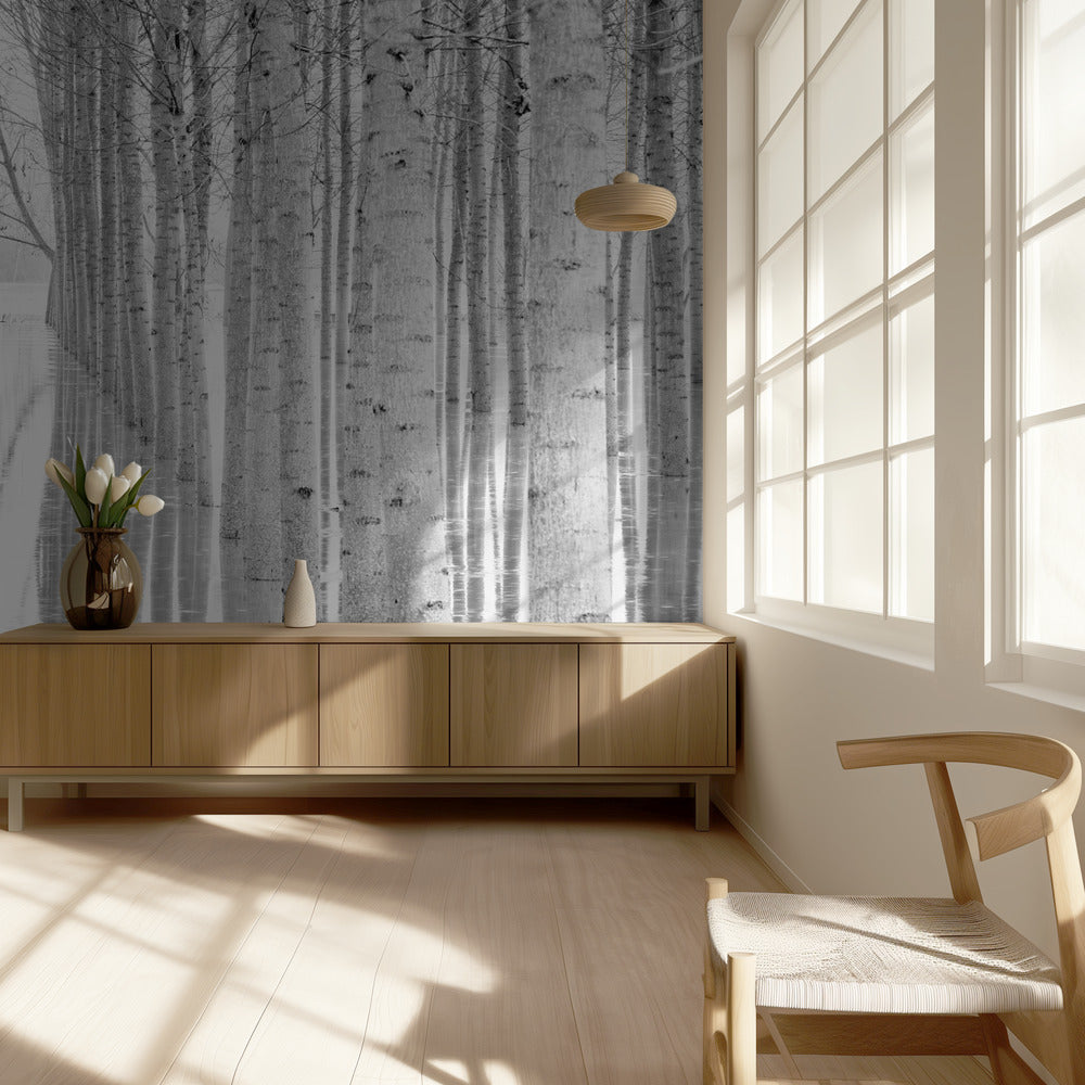 Libre circulación | Papel Pintado Fotográfico