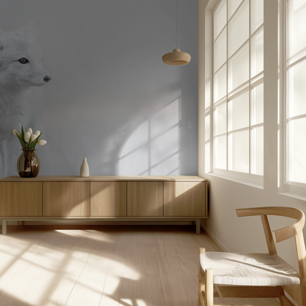 Looking around | Wallpaper