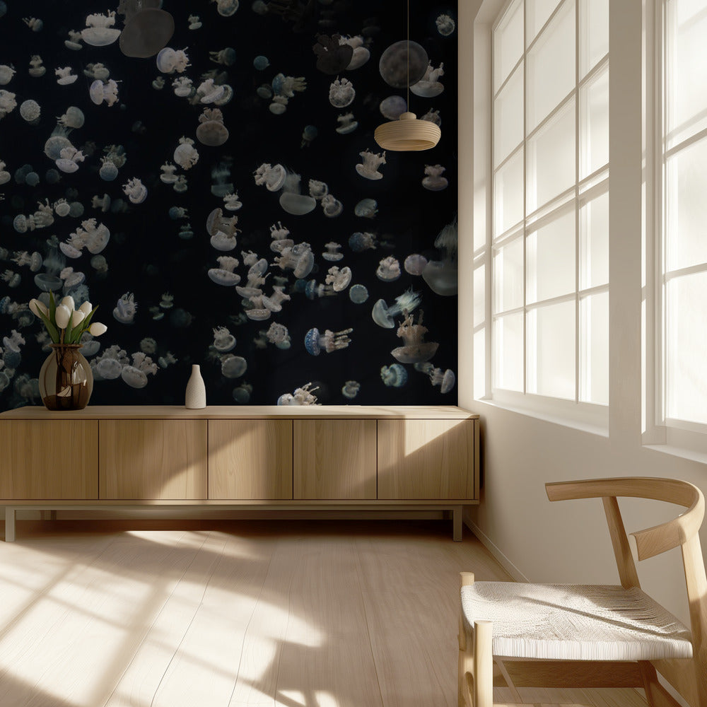 Sólo algunas gelatinas | Papel Pintado Fotográfico