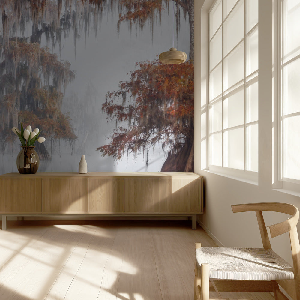 Tajemnicze bagna | Fototapeta