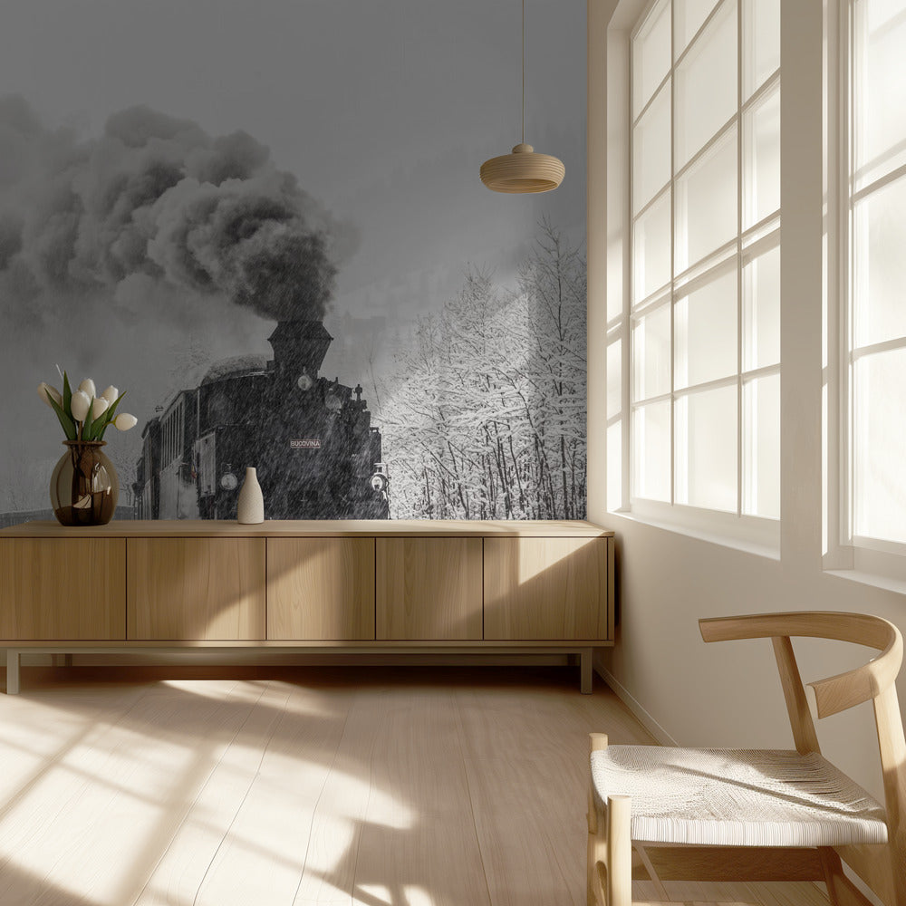 Zimowa opowieść | Fototapeta