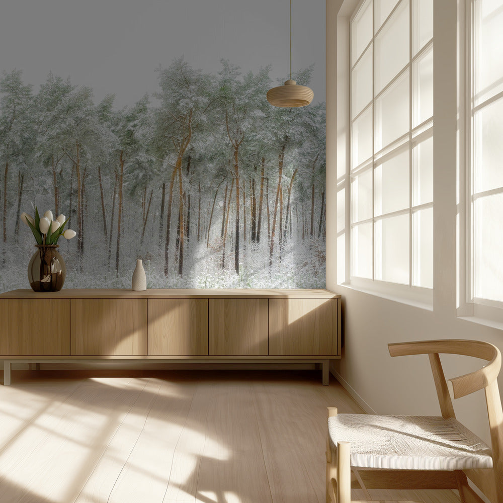 Mundo de nieve | Papel Pintado Fotográfico