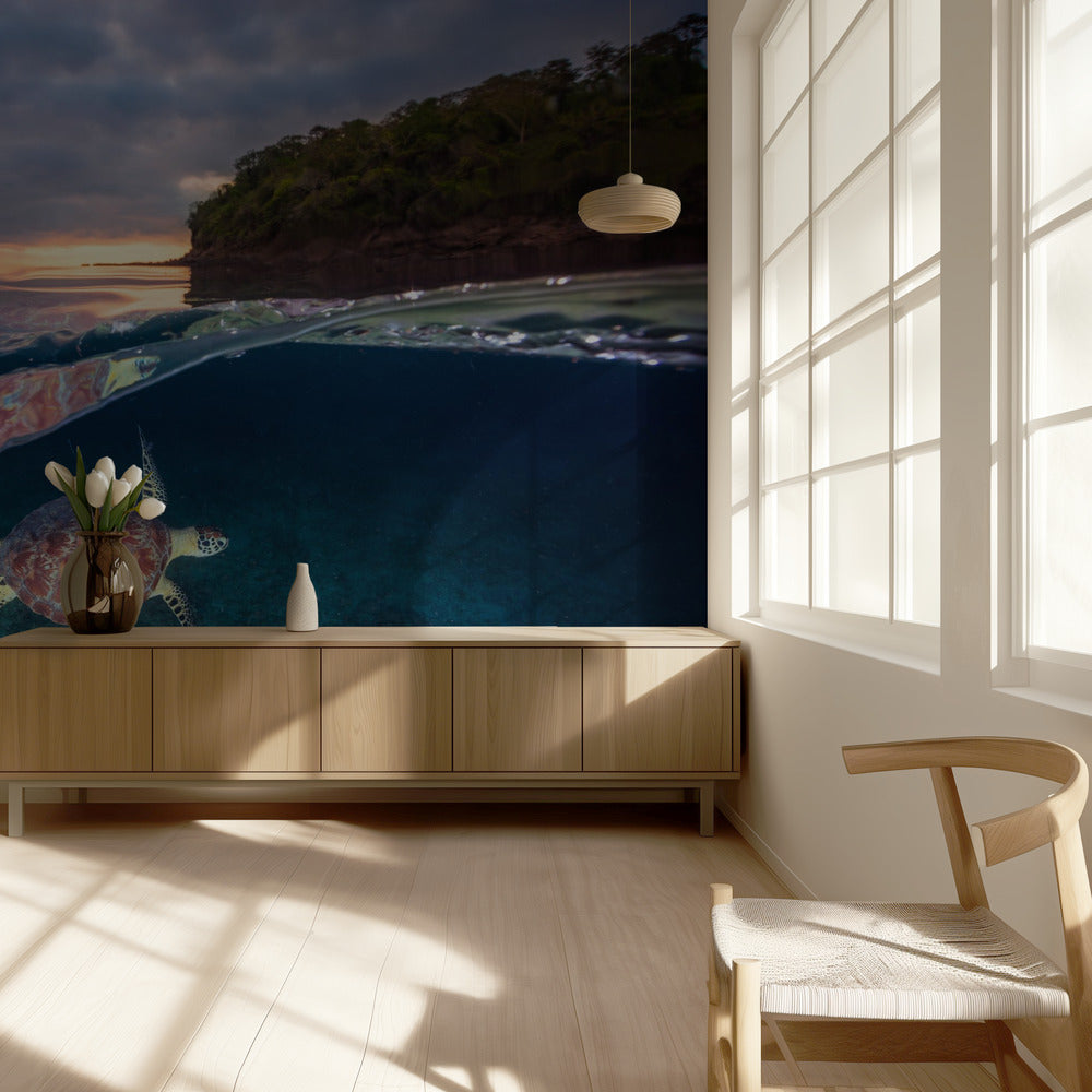 Tortuga verde con puesta de sol | Papel Pintado Fotográfico