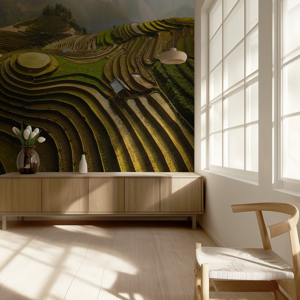 Mu Cang Chai - Vietnam | Fototapeter