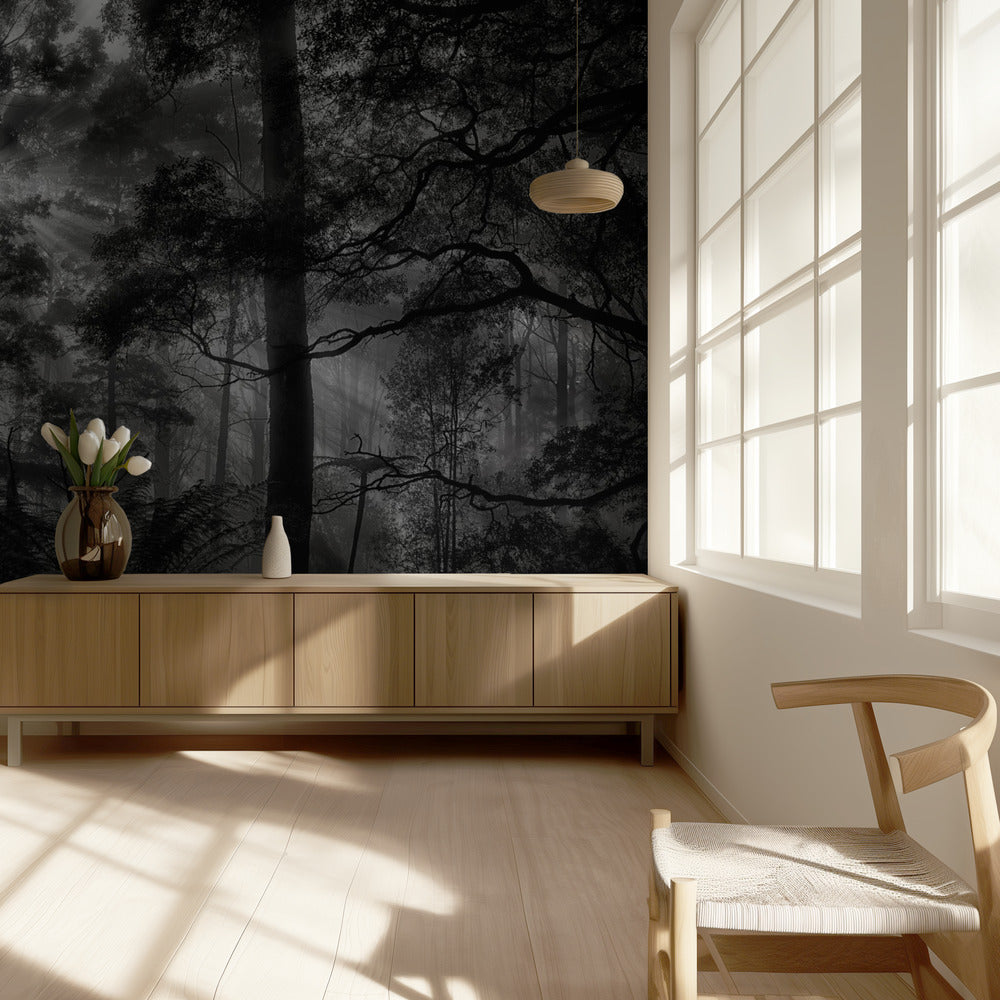 Forêt primaire | Papier Peint Photo