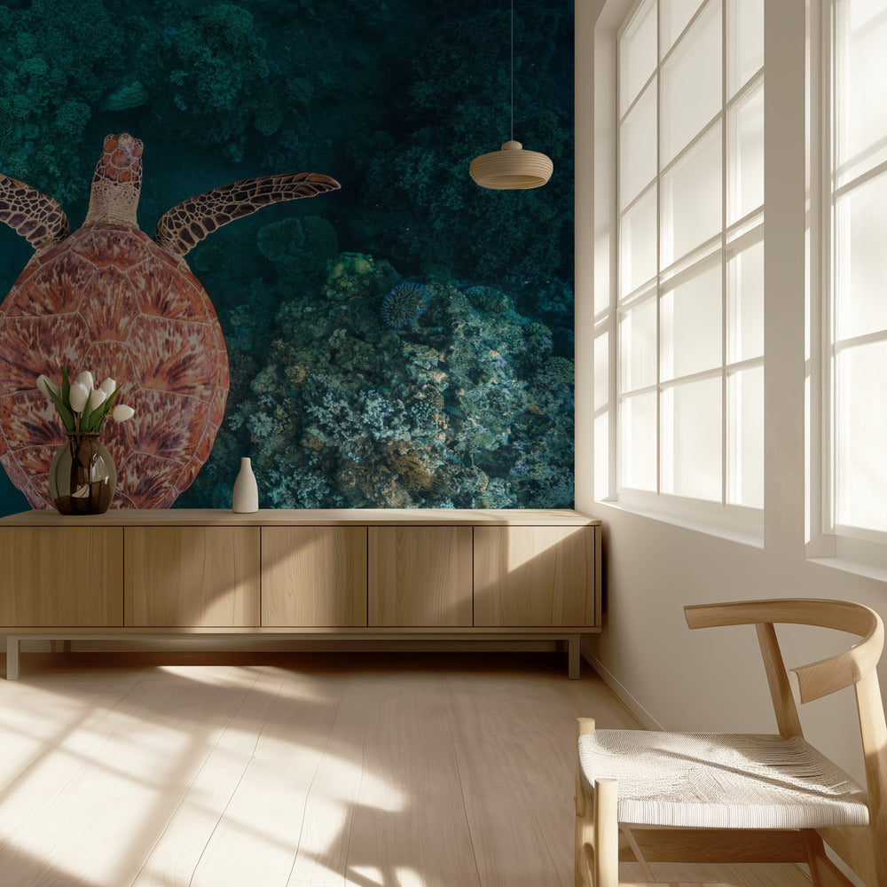 Volando sobre el arrecife | Papel Pintado Fotográfico